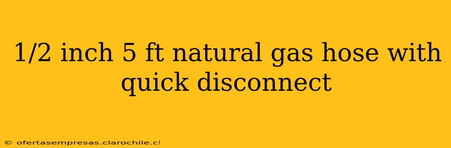 1/2 inch 5 ft natural gas hose with quick disconnect