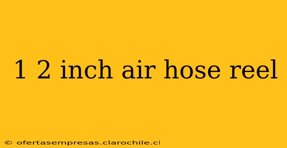 1 2 inch air hose reel