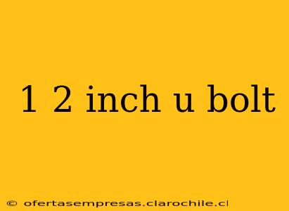 1 2 inch u bolt