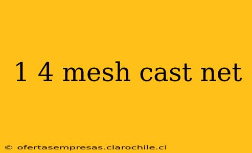 1 4 mesh cast net
