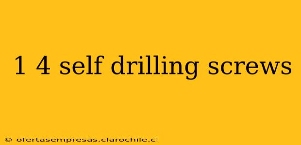 1 4 self drilling screws