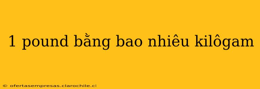 1 pound bằng bao nhiêu kilôgam