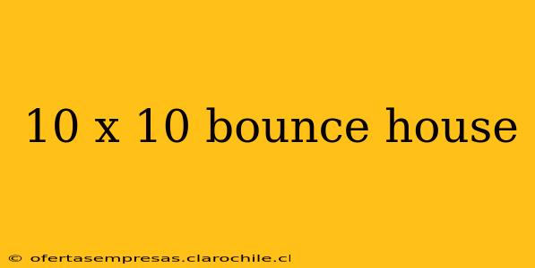 10 x 10 bounce house