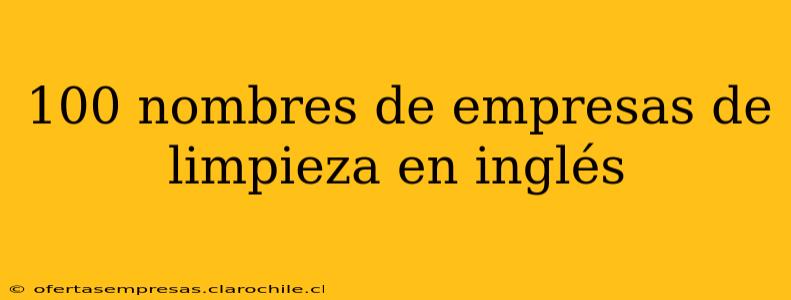 100 nombres de empresas de limpieza en inglés