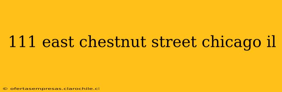 111 east chestnut street chicago il