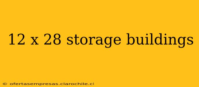 12 x 28 storage buildings