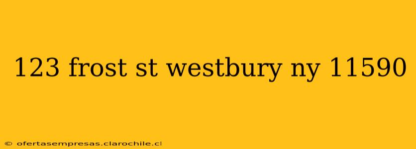 123 frost st westbury ny 11590