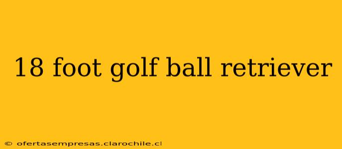 18 foot golf ball retriever