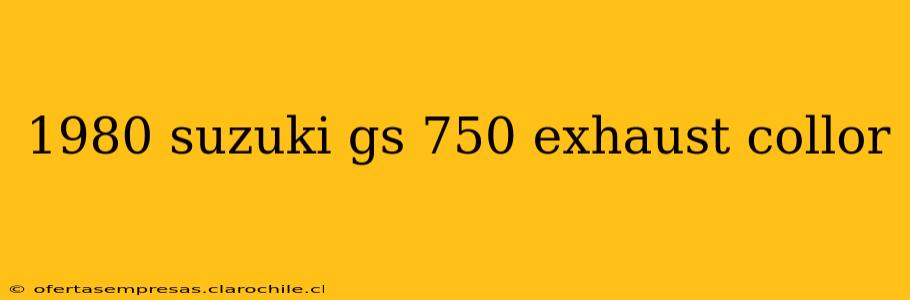 1980 suzuki gs 750 exhaust collor