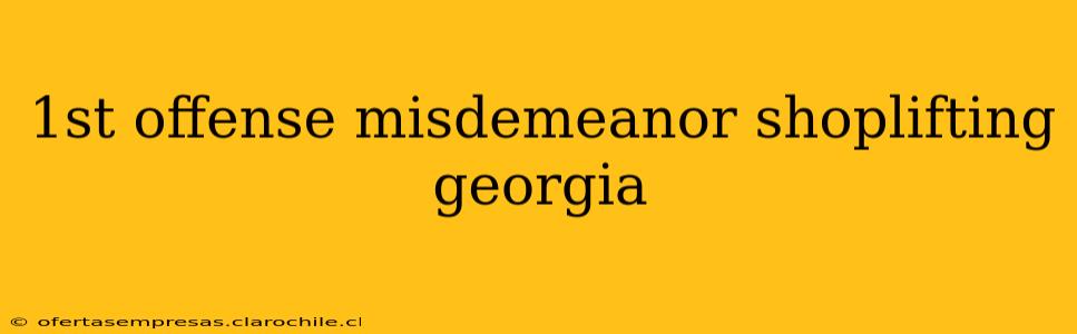 1st offense misdemeanor shoplifting georgia