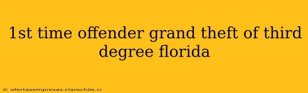 1st time offender grand theft of third degree florida