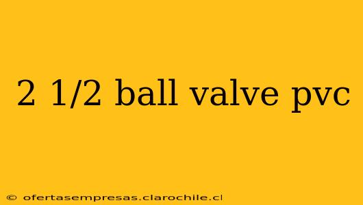 2 1/2 ball valve pvc