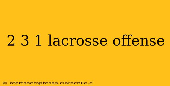 2 3 1 lacrosse offense