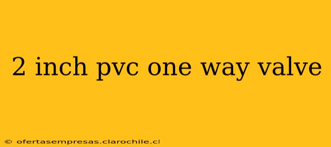 2 inch pvc one way valve