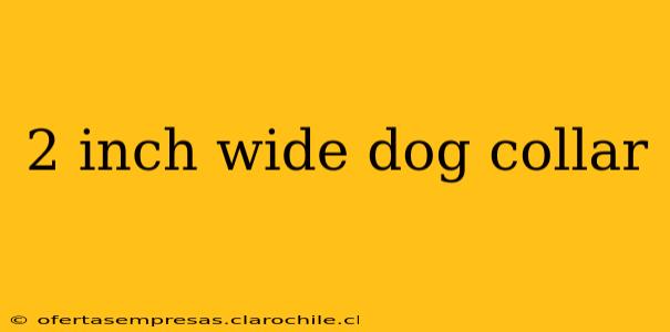 2 inch wide dog collar