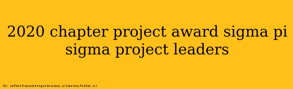 2020 chapter project award sigma pi sigma project leaders
