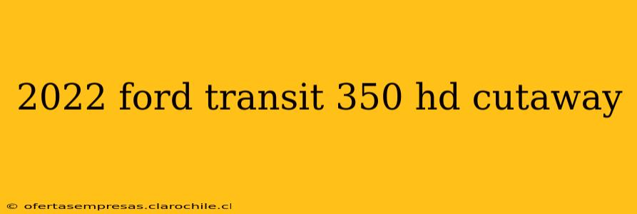 2022 ford transit 350 hd cutaway