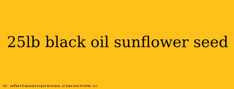 25lb black oil sunflower seed