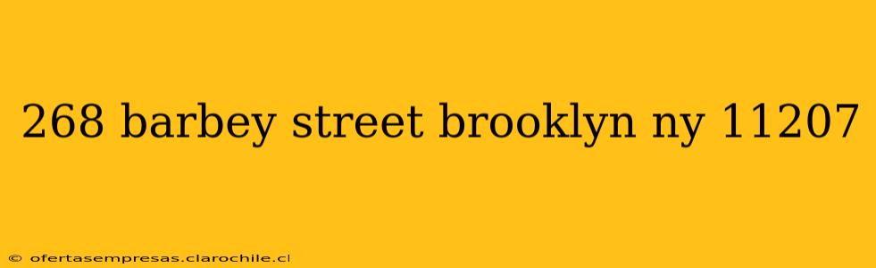 268 barbey street brooklyn ny 11207
