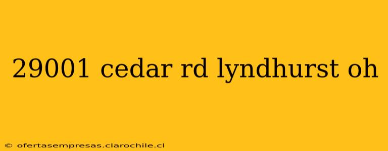29001 cedar rd lyndhurst oh