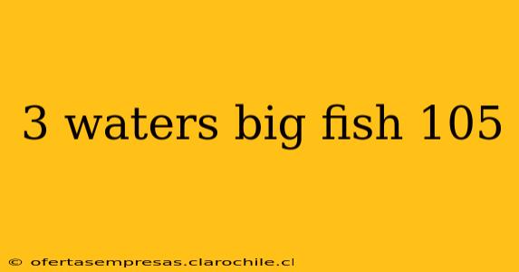 3 waters big fish 105