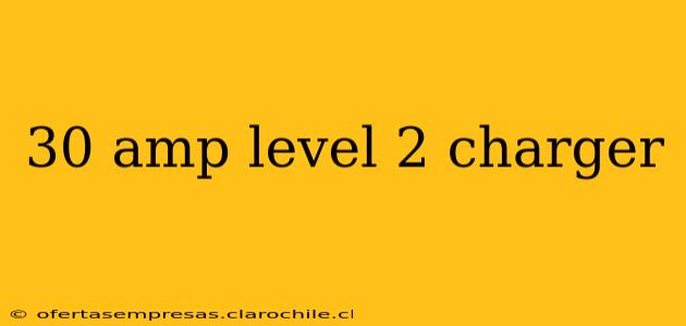 30 amp level 2 charger