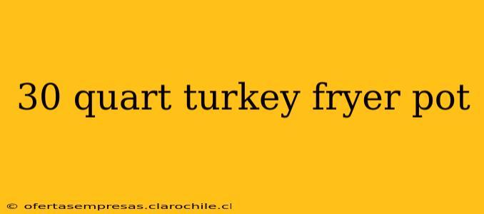 30 quart turkey fryer pot