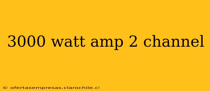3000 watt amp 2 channel