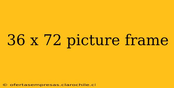 36 x 72 picture frame
