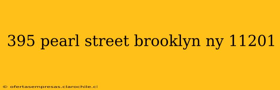 395 pearl street brooklyn ny 11201