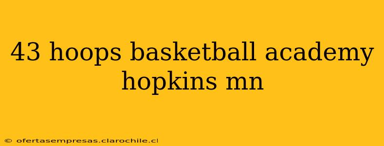 43 hoops basketball academy hopkins mn