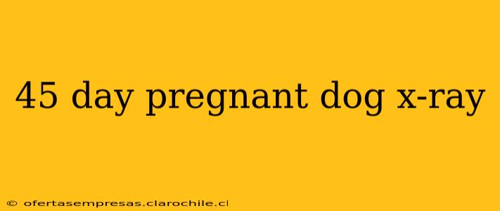 45 day pregnant dog x-ray