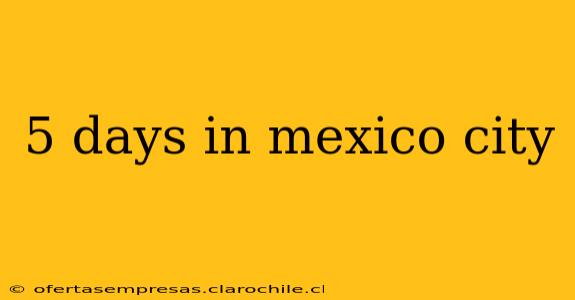 5 days in mexico city