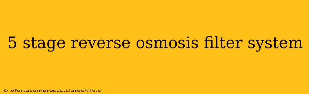 5 stage reverse osmosis filter system