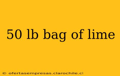 50 lb bag of lime