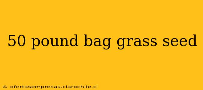 50 pound bag grass seed