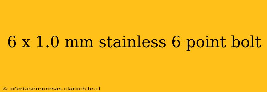 6 x 1.0 mm stainless 6 point bolt
