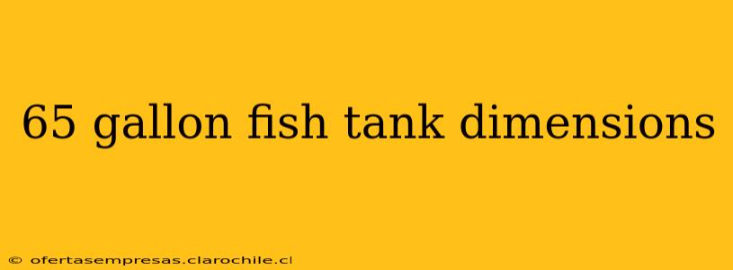 65 gallon fish tank dimensions