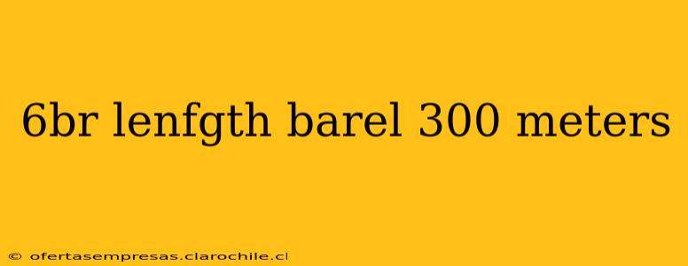 6br lenfgth barel 300 meters