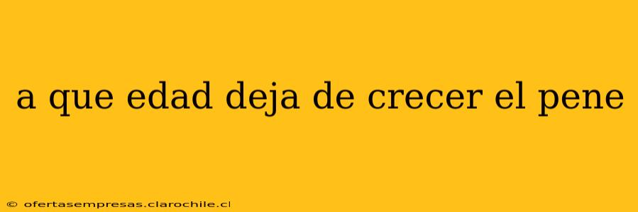 a que edad deja de crecer el pene