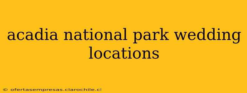 acadia national park wedding locations