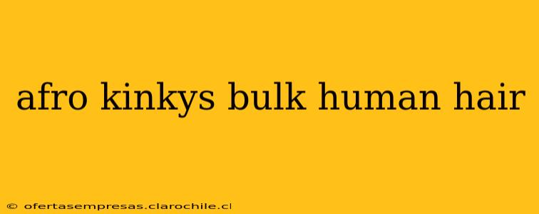 afro kinkys bulk human hair
