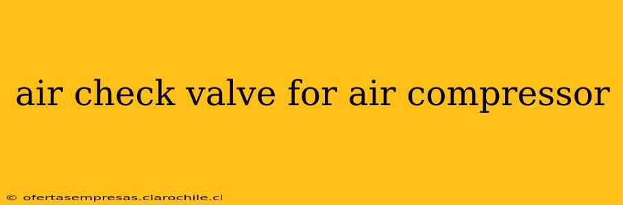 air check valve for air compressor