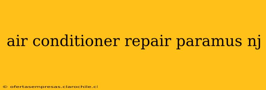 air conditioner repair paramus nj