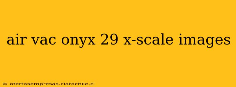 air vac onyx 29 x-scale images
