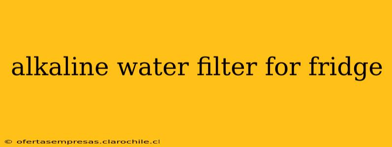 alkaline water filter for fridge