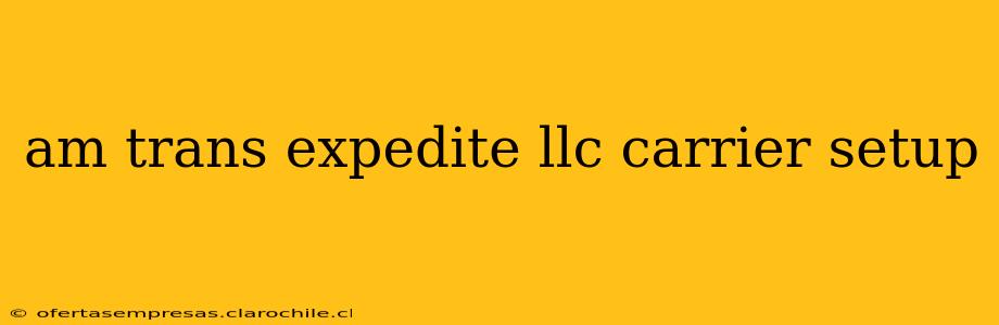 am trans expedite llc carrier setup