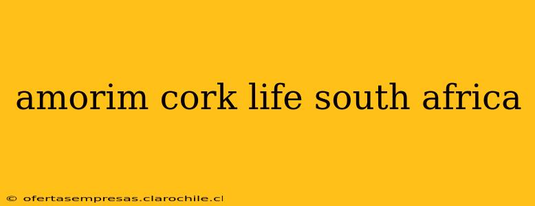amorim cork life south africa