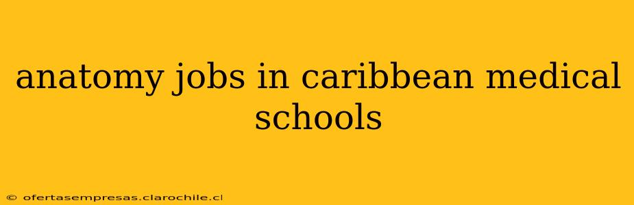 anatomy jobs in caribbean medical schools