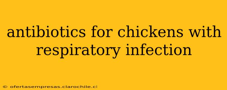 antibiotics for chickens with respiratory infection